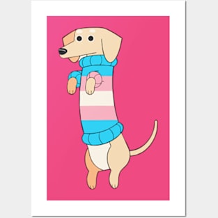 Dachshund Pride - Trans Flag Posters and Art